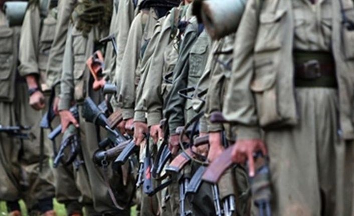 Terör örgütü PKK'daki paniğin sebebi belli oldu