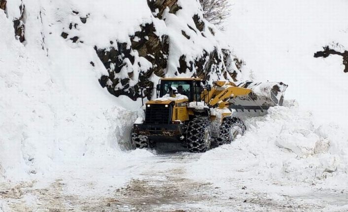 Siirt'te kar dolayısıyla 21 köye ulaşım sağlanamıyor