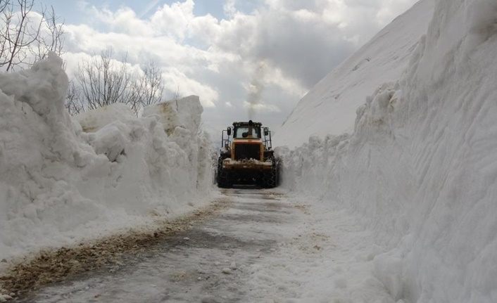 Muş'ta kar 4 metreyi buldu! Kar yağışı devam ediyor: Tüneller oluştu