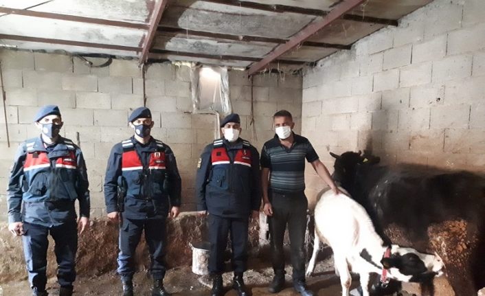 Aksaray Jandarması, kayıp hayvanları drone ile buldu