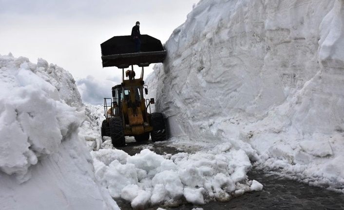 Bitlis'e bahar gelmedi! 10 metre karla mücadele