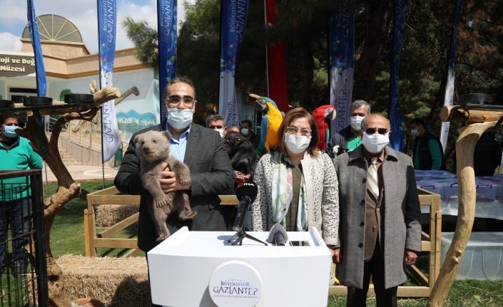 Gaziantep'te hayvanat bahçesi etkinliği