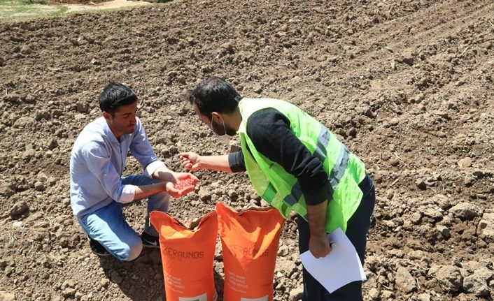 İpekyolu'nda çiftçiye tohum dağıtımı