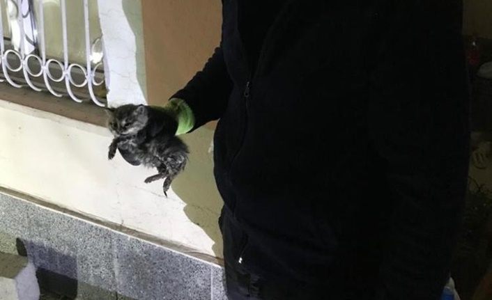 Van'da boruya sıkışan minik kedi kurtarıldı