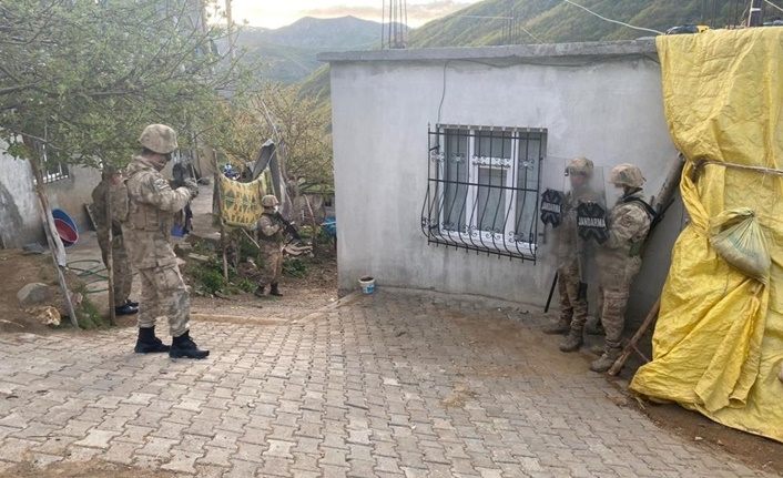 Bitlis merkezli terör operasyonu: 9 gözaltı