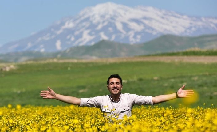 Bitlis'te açan sarı düğün çiçekleri renk cümbüşü oluşturdu