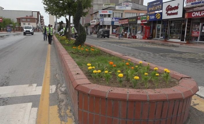 Erciş'te caddeler çiçeklerle süsleniyor