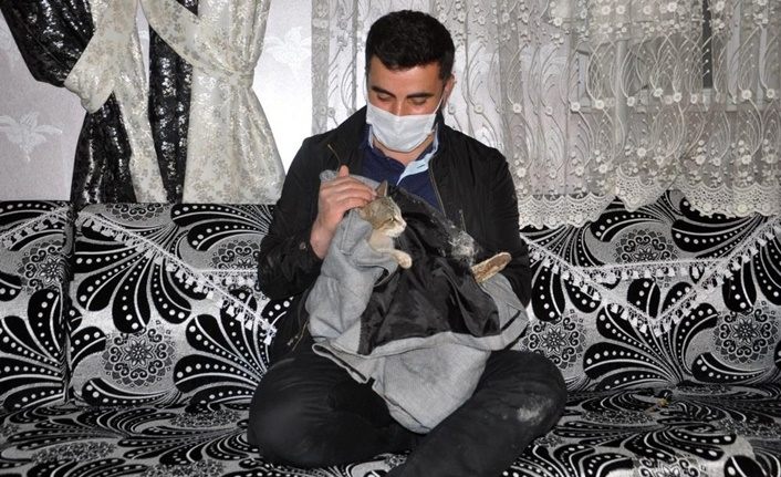 Hakkari'de Lafit ile kedi arasında yürek ısıtan görüntü