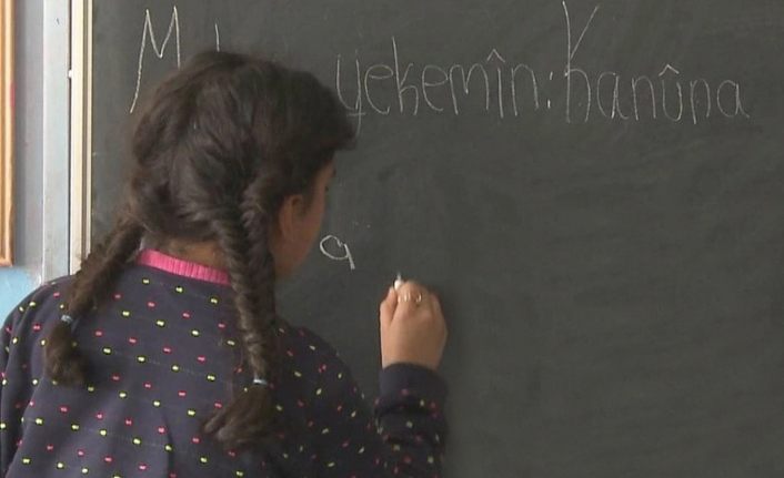 HDP'nin Anayasa talebi: Eğitim dili Kürtçe olsun