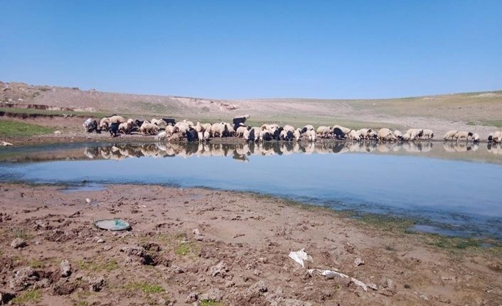 Özalp'te yüzde 60 ile 70 arası kuraklık yaşanıyor