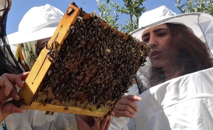 Van'da 30 kadın kursiyer arı yetiştiriciliği sertifikası aldı
