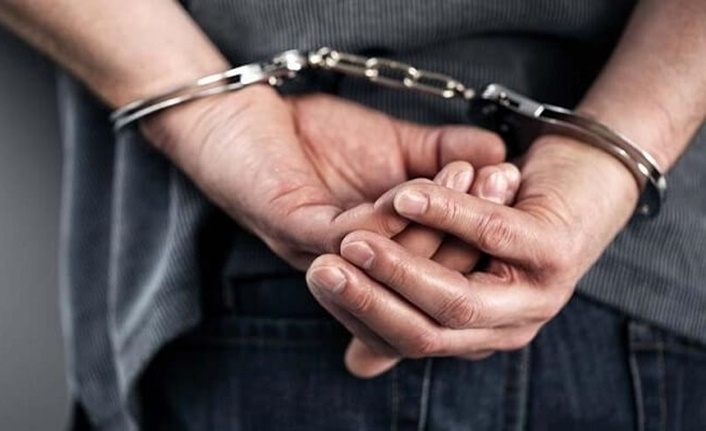Van merkezli 4 ilde ödeme dolandırıcılığında 14 tutuklama