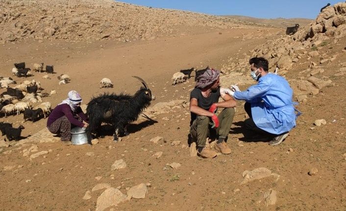 Van'da sağlık çalışanları, çobanları yerinde aşılıyor