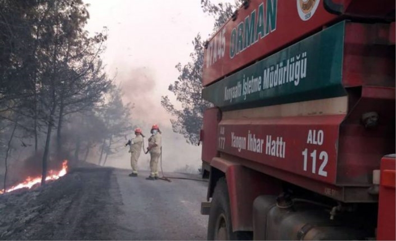 6 günde 130 orman yangını kontrol altında