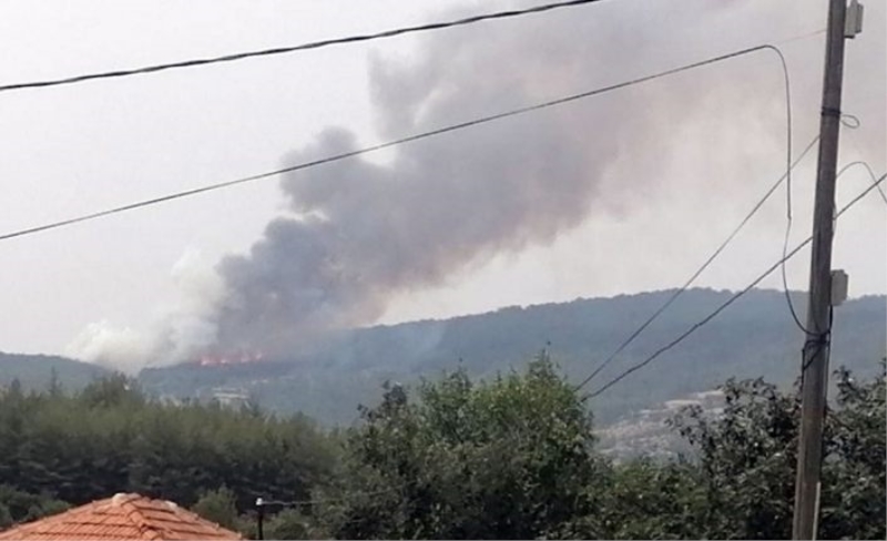Aydın Bozdoğan’da orman yangını başladı