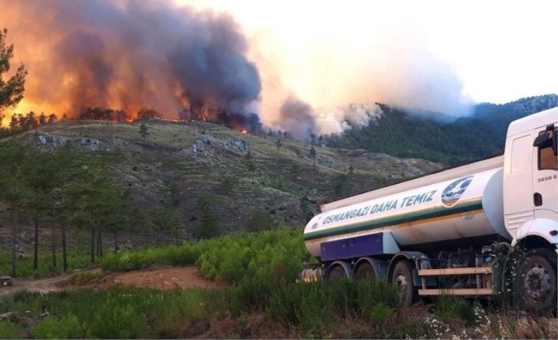 Bursa Osmangazi ekipleri yangın bölgesinde