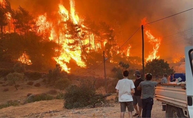 Ciğerlerimiz 10 gündür yanıyor! Orman yangınlarında son durum