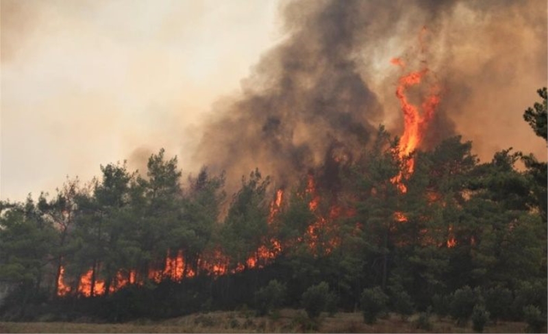 Ciğerlerimiz 6 gündür yanıyor! Orman yangınlarında son durum