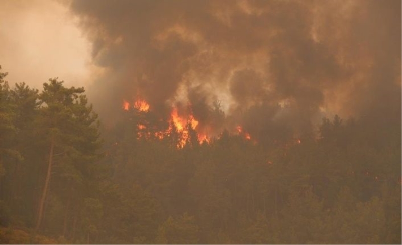 Ciğerlerimiz 7 gündür yanıyor! Orman yangınlarında son durum