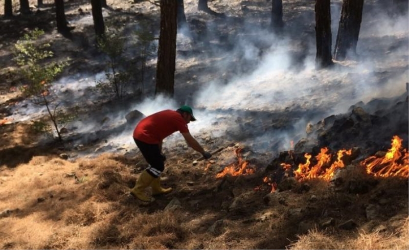 Türkiye'deki orman yangınlarında yeni risk