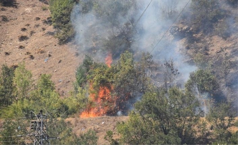 Bitlis'te orman yangını! Rüzgarın etkisi ile hızla yayıldı