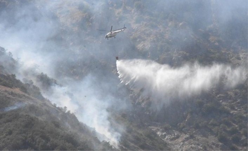Bitlis'teki orman yangını 4. gününde kontrol altına alındı