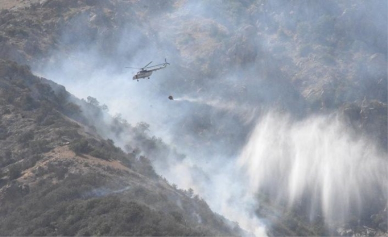 Bitlis'teki orman yangınına karadan ve havadan müdahale ediliyor