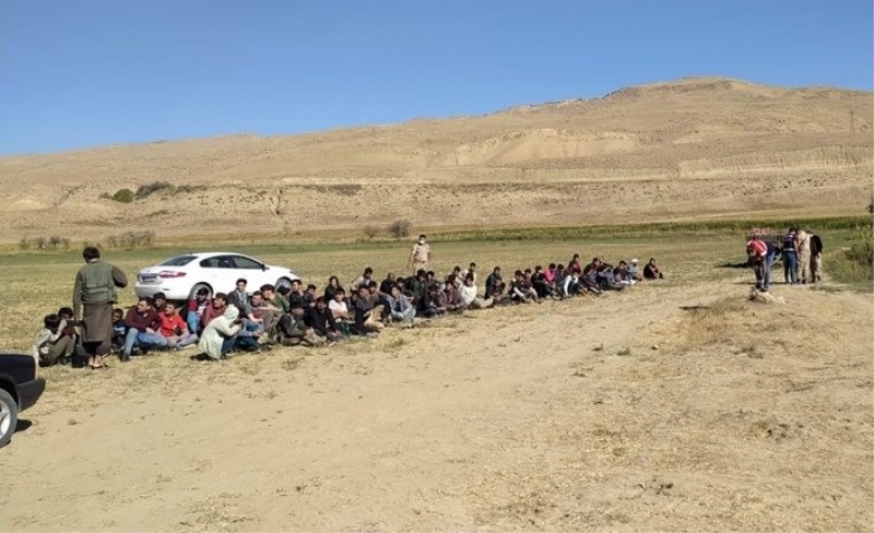Van'da 71 kaçak göçmen ile 2 organizatör yakalandı