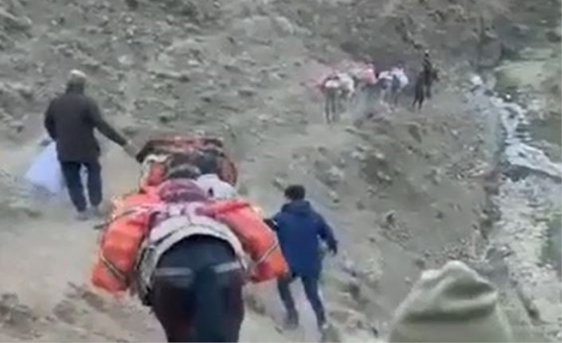 Van-İran sınırında atlarla taşınan 383 kilo 122 gram eroin ele geçirildi