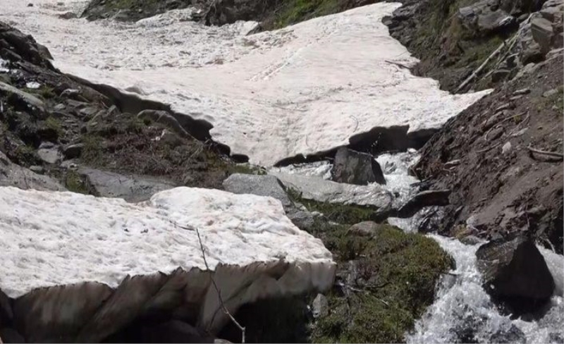 Bitlis'te kar sularının erimesiyle doğa yeniden canlandı