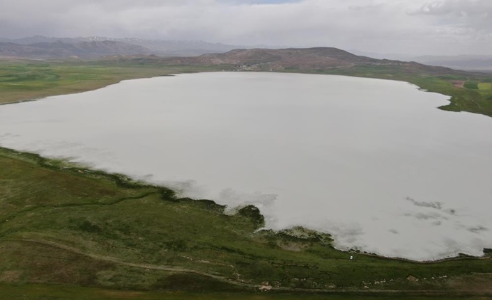 Özalp ilçesinde 30 kilometre uzaklıkta bulunan, 407 hektar alanı kaplayan