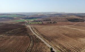 Sağlık Bakanı Fahrettin Koca, Diyarbakır’ın Çınar ilçesi Köksalan Mahallesi ve
