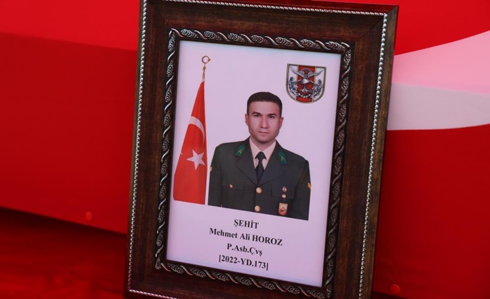 Piyade Astsubay Çavuş Mehmet Ali Horoz, Pençe – Kilit operasyonunda