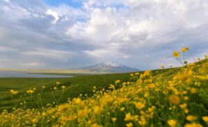 Süphan Dağı eteklerinde bulunan 2 bin 150 rakımdaki Sütey Yaylası,