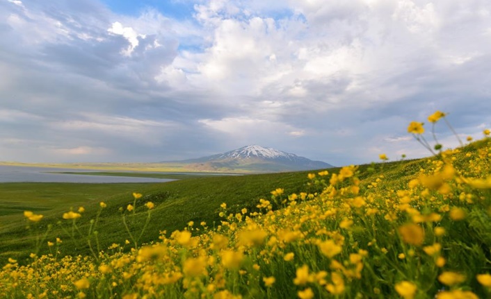 Süphan Dağı eteklerinde bulunan 2 bin 150 rakımdaki Sütey Yaylası,