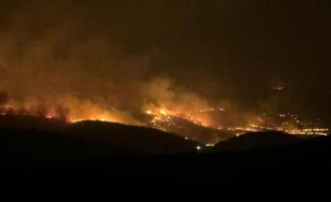 Yangın, 20 Haziran 2024 tarihinde saat 22.15 sıralarında Çınar ilçesine