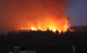 Dün Türkiye genelinde 30’u kırsal 14’ü ormanlık alan olmak üzere