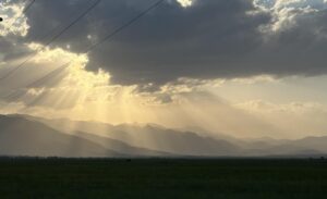 Yüksekova ilçesinde sabah saatlerinde başlayan rüzgar ve toz bulutu hayatı