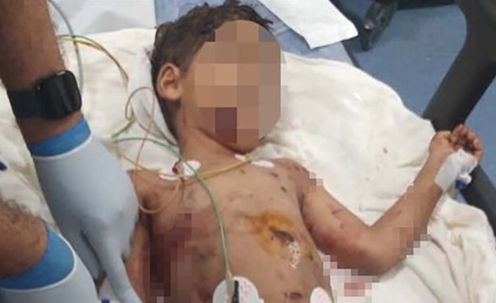 Edinilen bilgiye göre olay, 5 Temmuz saat 15.00 sıralarında Seyhan