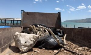 Son yıllarda su seviyesindeki çekilme ile gündemde olan Van Gölü,