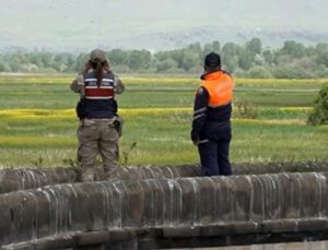 Böyle vicdansızlık olmaz! Van’da tonlarca ölü inci kefali ele geçirildi