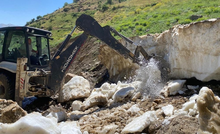 Van’ın Bahçesaray ilçesinde kışın yağan yoğun kar ve düşen çığlar