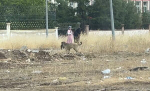 Olay, merkez Kayapınar ilçesi Talaytepe Mahallesi toplu konutlar tarafında meydana