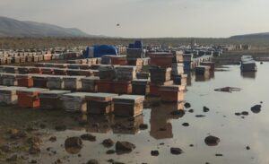 Dün öğleden sonra aniden bastıran yağmur, Muradiye ile Özalp ilçeleri