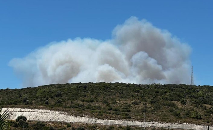 Yangın, saat 11.40 sıralarında Çeşme ilçesi Alaçatı Mahallesi Delikli Koy