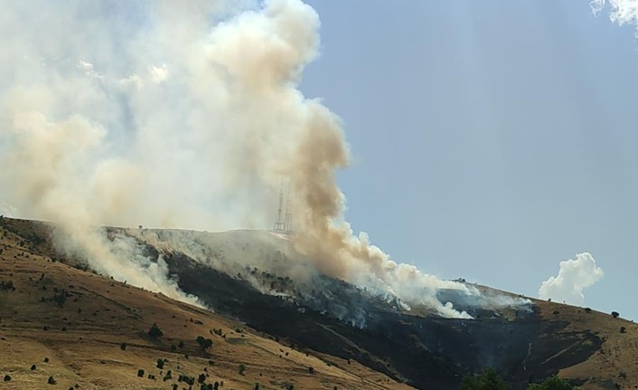 Bayrak Tepe mevkisinde henüz bilinmeyen bir nedenle örtü yangını çıktı.