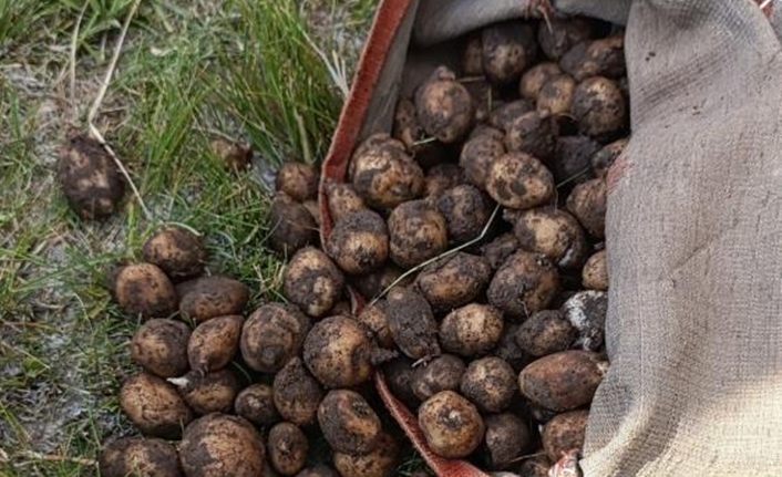 Van’ın Muradiye ilçesindeki Ünseli Jandarma Karakolu ekipleri, Kırklar Mezarlığı mevkiinde
