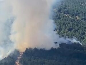 İzmir’de orman yangını! Ekipler zamanla yarışıyor