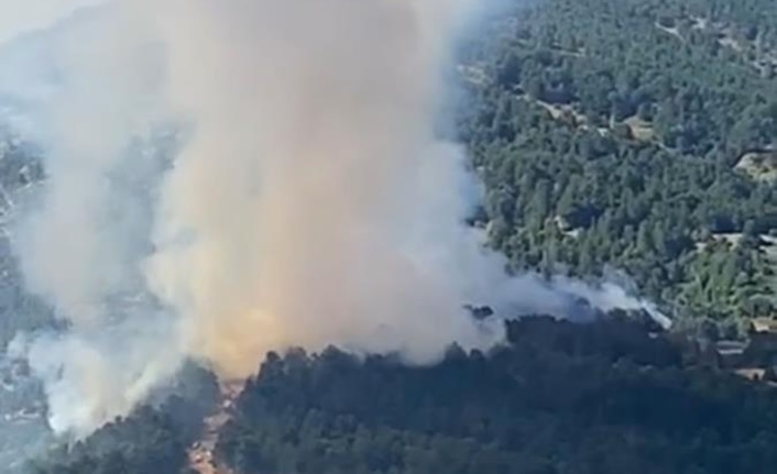 Orman yangını, ilçeye bağlı Artıcak Mahallesi’nde başladı. Saat 15.35’te çıkan