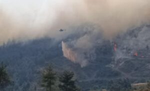 Havaların ısınmasıyla birlikte orman yangınları da çıkmaya başladı. Vatandaşların dikkatsizliği,